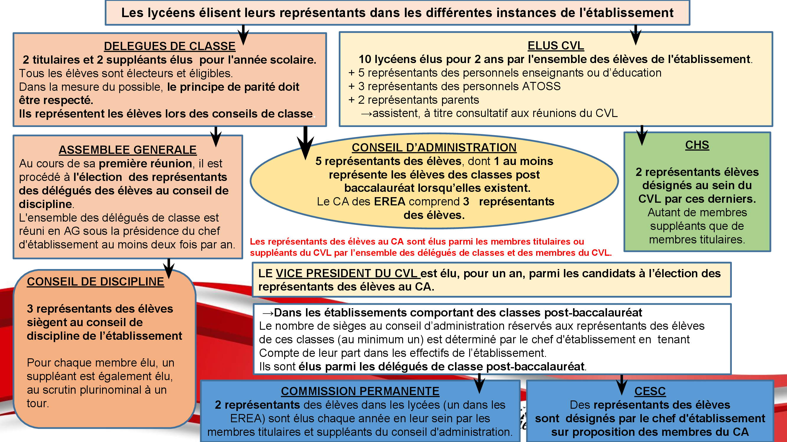 Schéma de la représentativité au lycée