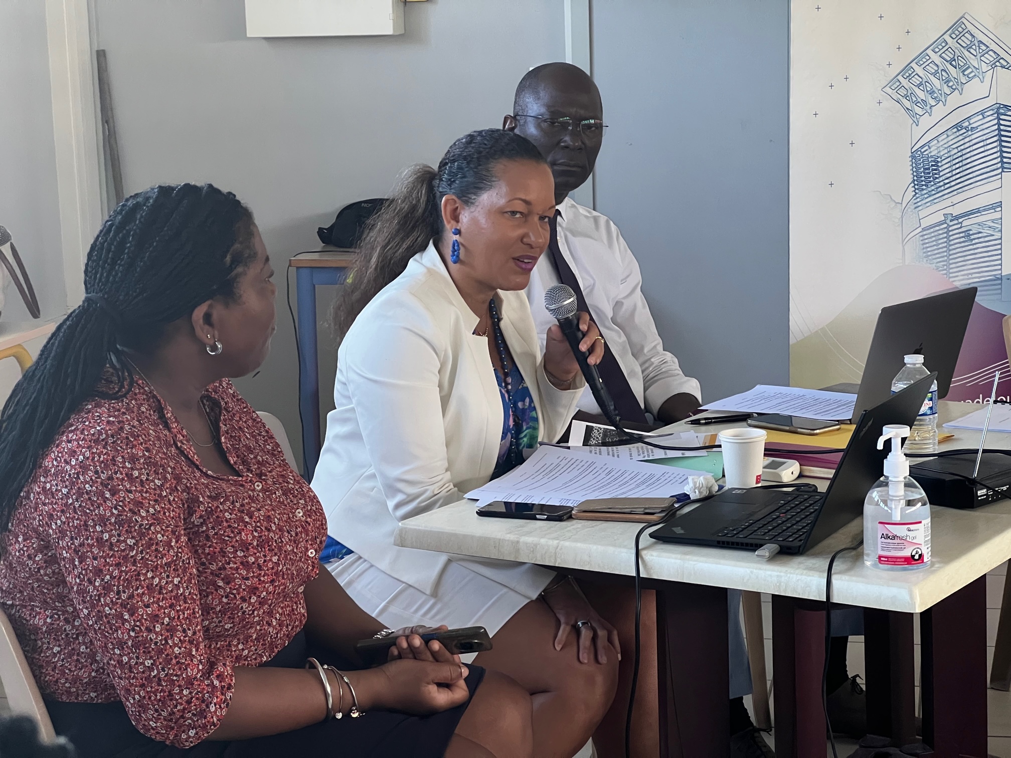 Rencontre professionnelle des RHP Région académique Guadeloupe