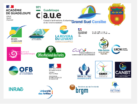visuel partenaires FOREDD