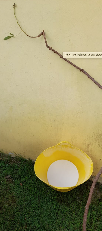 Découvrir le manioc dans tous ces états