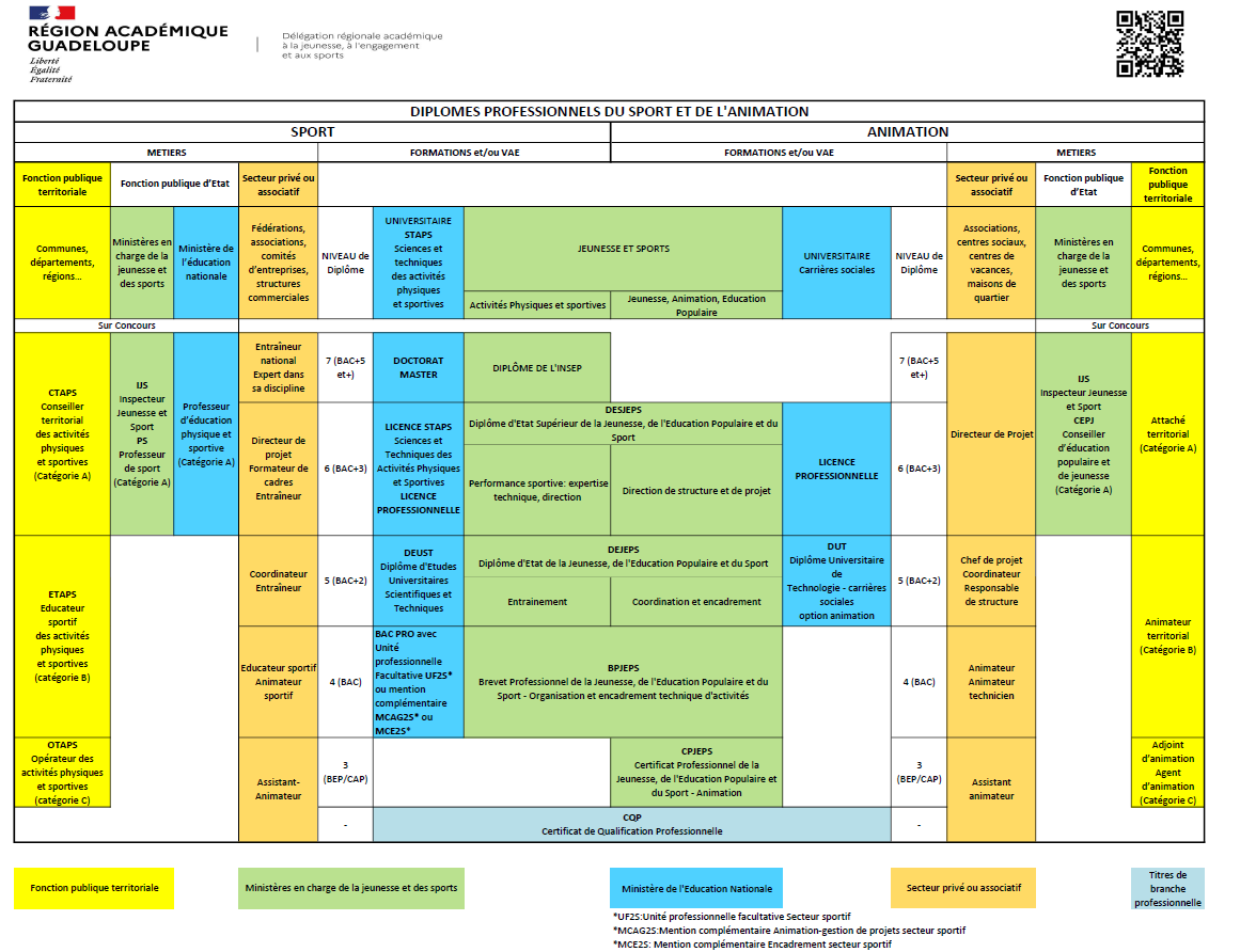 Infographie diplômes professionnels du sport et de l'animation