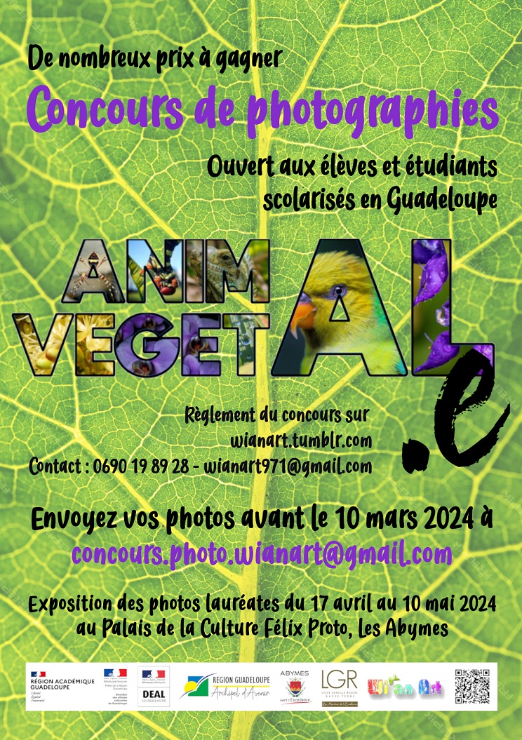 concours wianart 2024