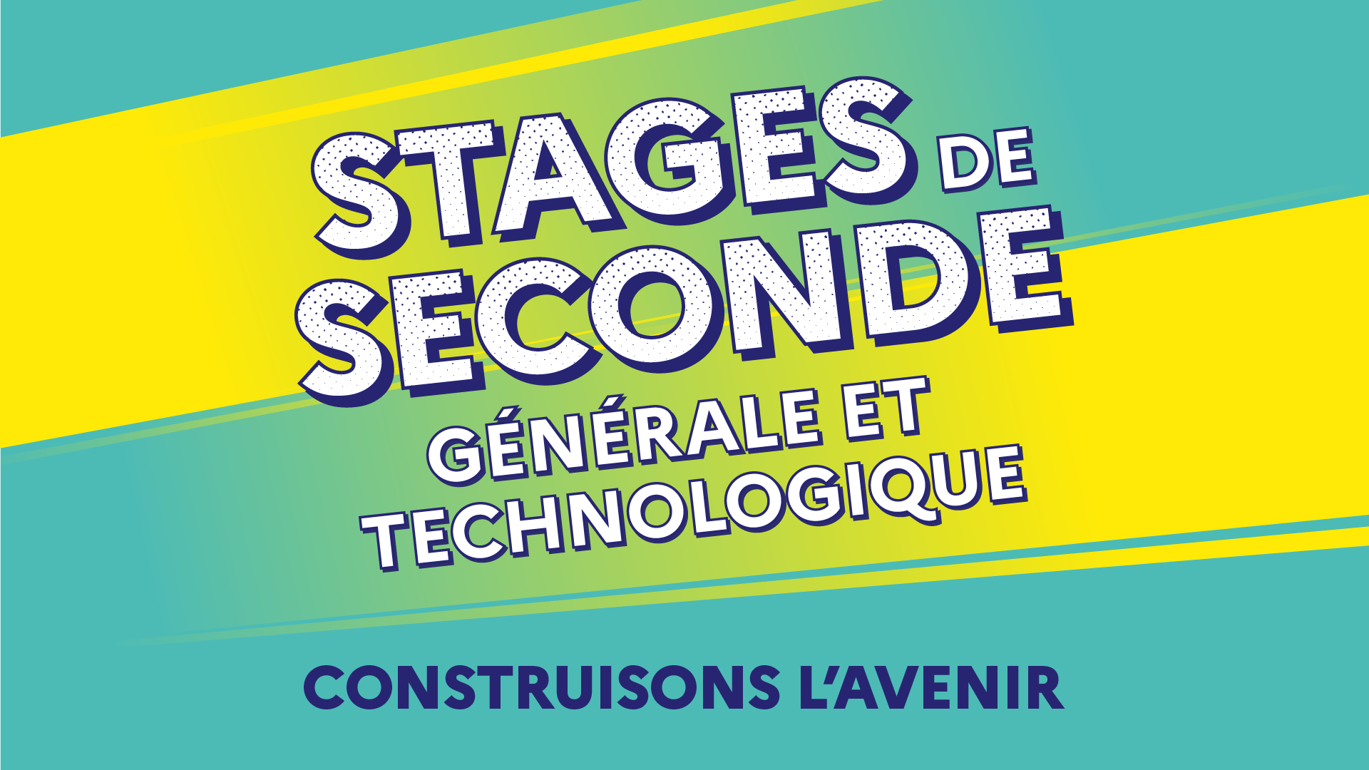 Visuel Stage de seconde