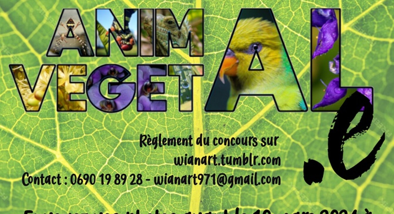 concours wianart 2024