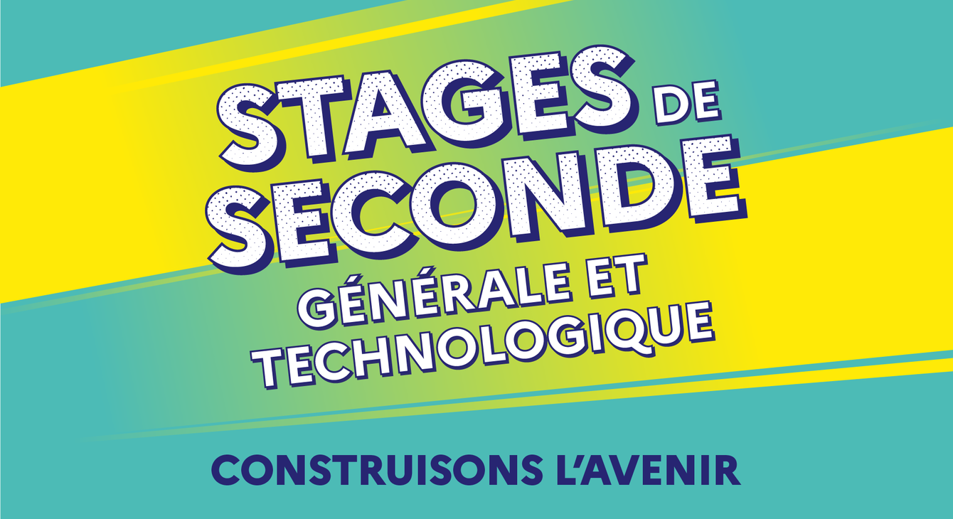 Visuel Stage de seconde