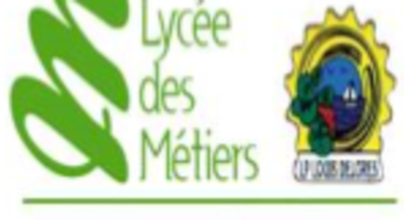 Logo du LP Louis Delgrès Moule